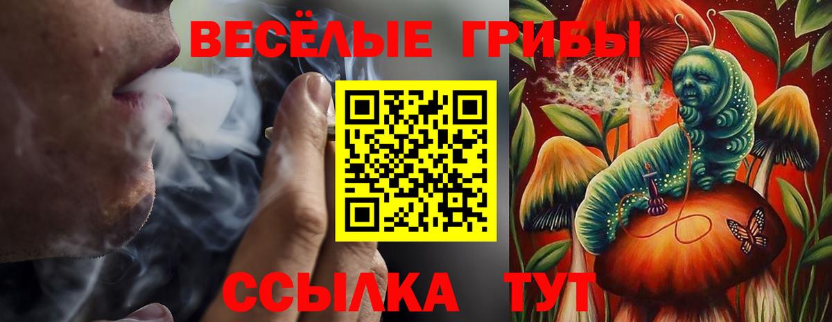 Псилоцибиновые грибы прущие грибы Клинцы