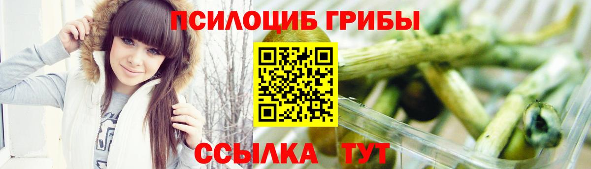 что такое наркотик  Галлюциногенные грибы Psilocybine cubensis  Вход с VPN  Клинцы 